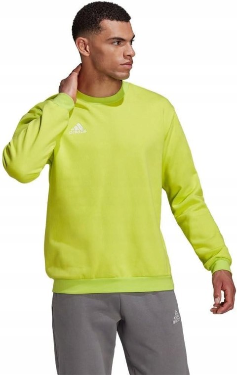 BLUZA MĘSKA ADIDAS BAWEŁNIANA ENTRADA CZERWONA R. XXL