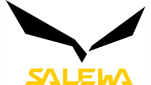 KIJ KIJEK TREKKINGOWY ALUMINIOWY TURYSTYCZNY SALEWA PUEZ 1 SZTUKA