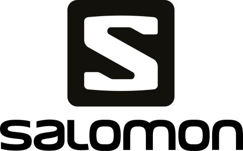 OCHRANIACZ PLECÓW NA TUŁÓW NARCIARSKI SALOMON FLEXCELL CZARNY