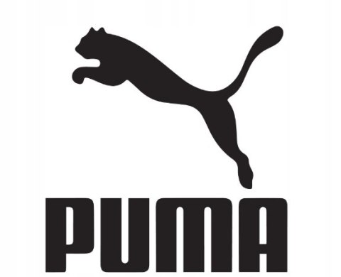 KOSZULKA DZIECIĘCA PUMA GIRL'S FIT JUNIOR R. 152 11-12 LAT KOSZULKA DZIECIĘCA PUMA GIRL'S FIT JUNIOR R. 152 11-12 LAT